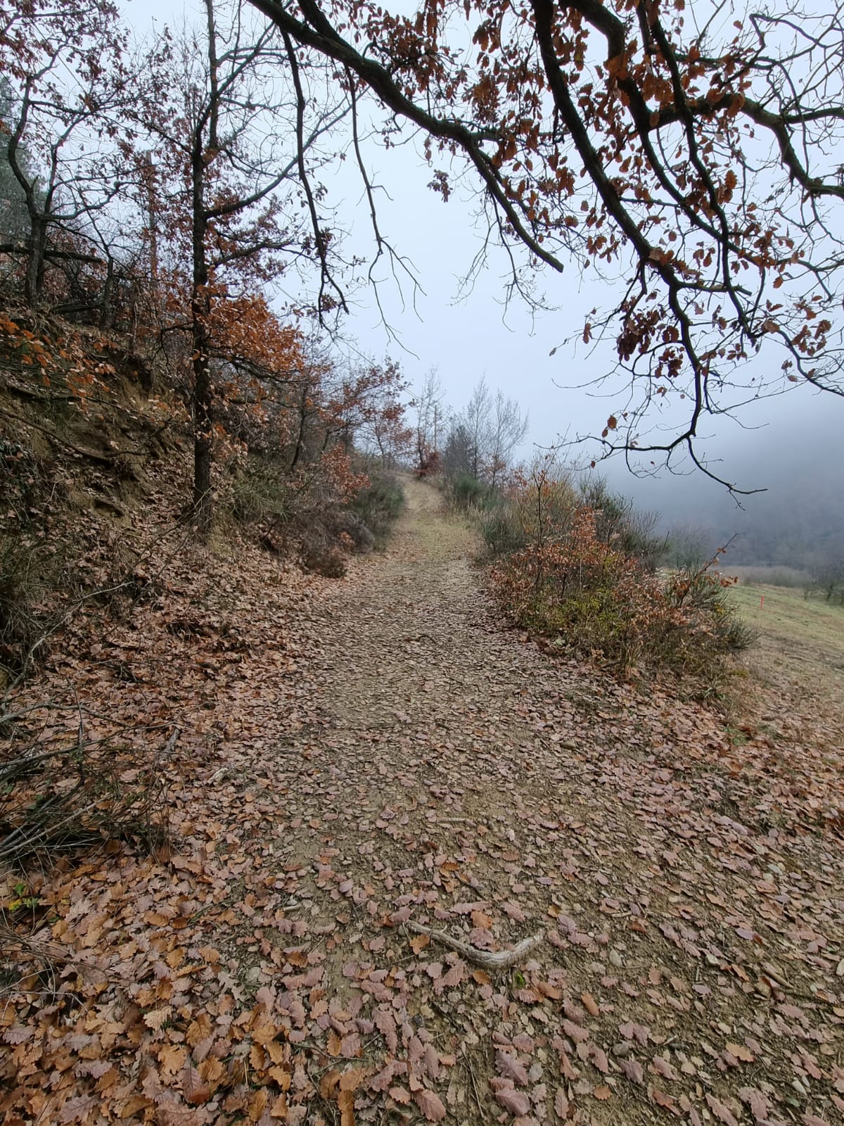 COSA MI ASPETTA GIRATO L'ANGOLO?